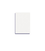 Баф шліфувальник прямокутний mini  PRO 50 шт (100/180 grit)