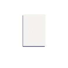 Баф шлифовщик прямоугольный mini  PRO 50 шт (100/180 grit)