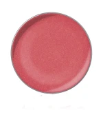 Блеск для губ в рефилах диам26 мм (25)