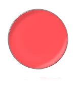 Блеск для губ в рефилах диам26 мм (35)