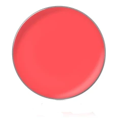 Блиск для губ у рефілах діам26 мм (35)