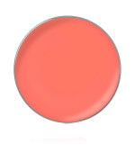 Блеск для губ в рефилах диам26 мм (36)