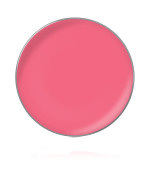 Блеск для губ в рефилах диам26 мм (40)