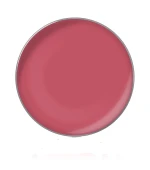 Блиск для губ у рефілах діам26 мм (41)