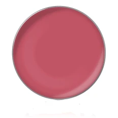 Блиск для губ у рефілах діам26 мм (41)