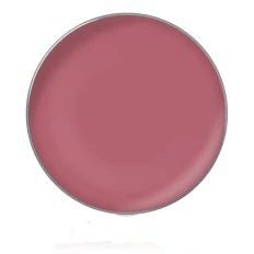 Блиск для губ у рефілах діам26 мм (43)