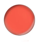 Помада для губ в рефилях (PL52)