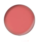 Помада для губ в рефилах (PL67)