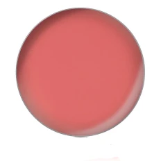 Помада для губ у рефілах (PL67)