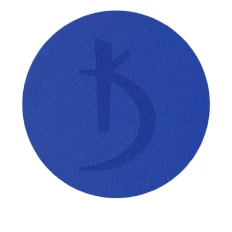 Тени матовые для глаз коллекция Colour Smokey 2 г (11)