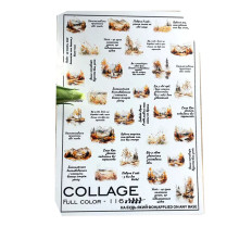 Слайдер-дизайн NewMax (FC-116)