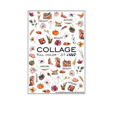 Слайдер-дизайн NewMax (FC-37)