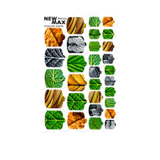 Пленка New Max (WRAPS PW-4)