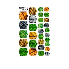 Плівка New Max (WRAPS PW-4)