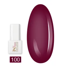 Гель-лак JZ 10 мл (100)