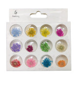 Набір сухоцвітів для дизайну (m11570) (12шт)