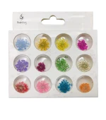 Набор сухоцветов для дизайна (m11570) (12шт)