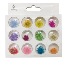 Набор сухоцветов для дизайна (m11570) (12шт)