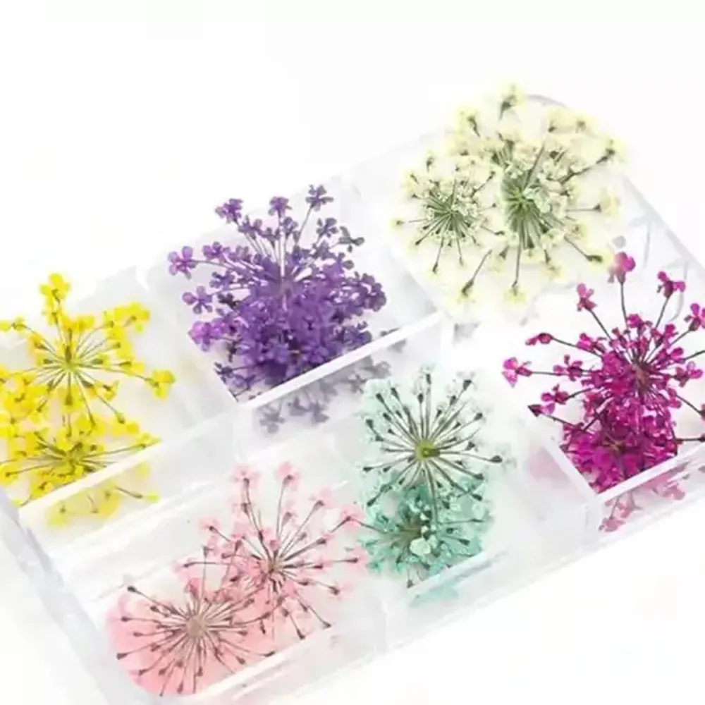 Набір сухоцвітів для дизайну (408В) (6 кол)