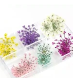 Набор сухоцветов для дизайна (408В) (6 цв)