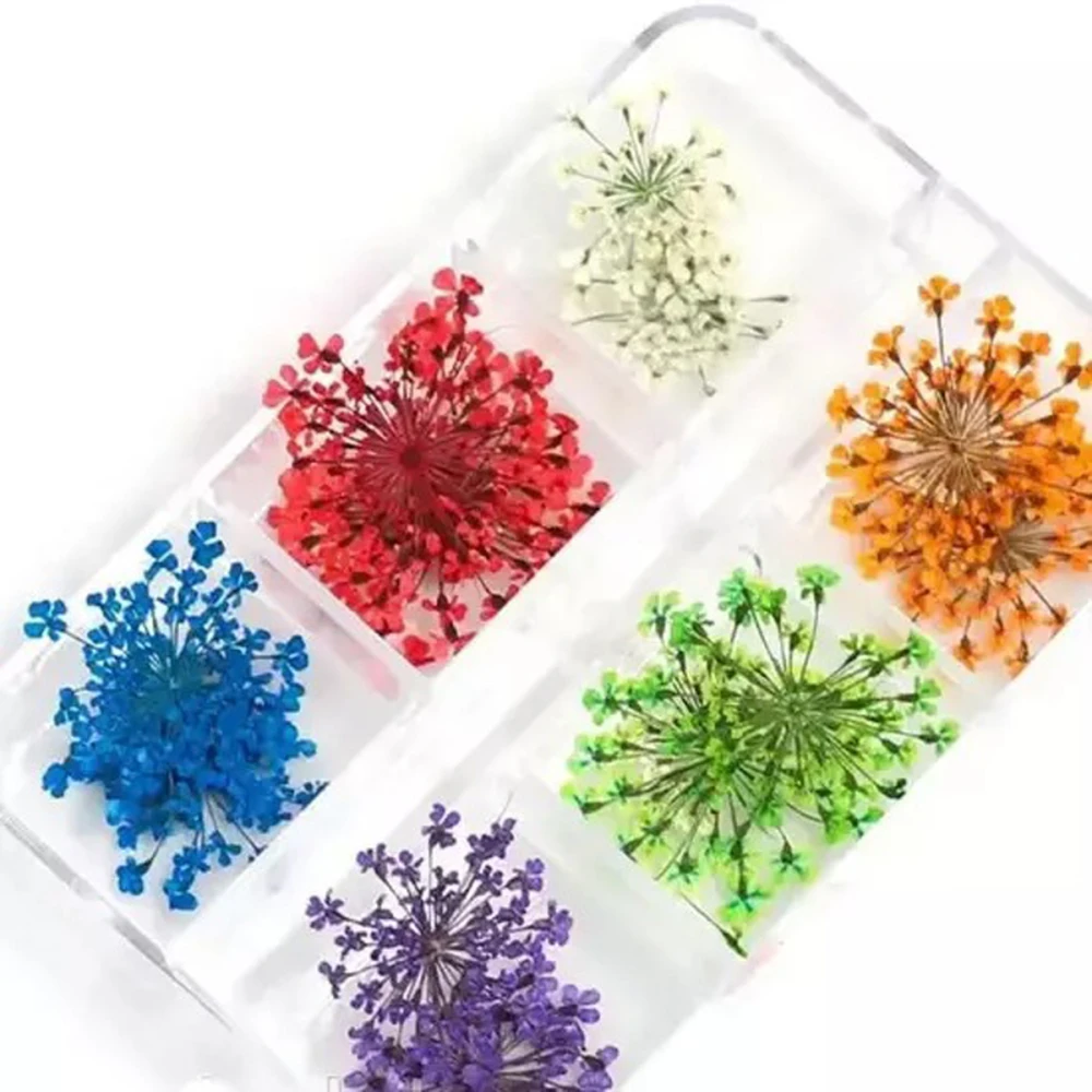 Набір сухоцвітів для дизайну (408А) (6 кол)