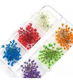 Набір сухоцвітів для дизайну (408А) (6 кол)