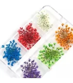 Набор сухоцветов для дизайна (408А) (6 цв)
