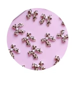 Украшения для ногтей, 20 шт (Леопардовый бантик)