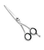 Ножницы CISSORS (SENSATION SERIE REGULAR 5,5 модель 2258)