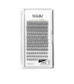 Вії накладні пучкові WoBs FISH TAIL 20F 0.07 12 стрічок mix, 120 шт