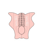Форми-шаблони для нарощування нігтів 20 од.