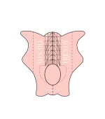Формы-шаблоны для наращивания ногтей 20 ед.