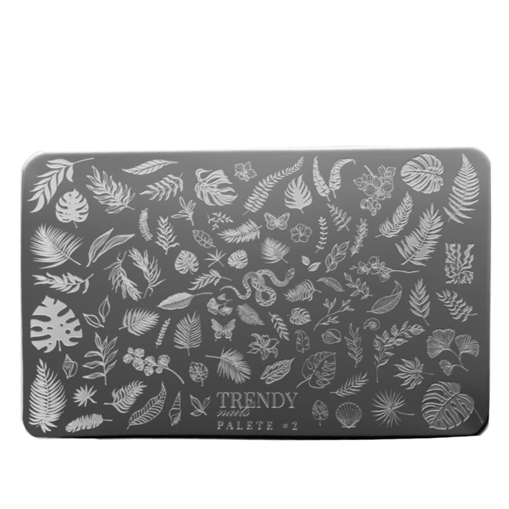 Пластина  для стемпинга (№2)