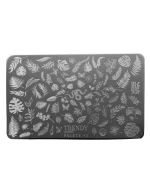 Пластина  для стемпинга (№2)