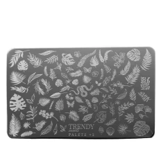 Пластина  для стемпинга (№2)