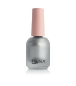 Лак для стемпинга 10 мл (№5 (серебряный))