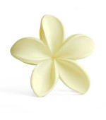 Краб лілія матова (Молочна)