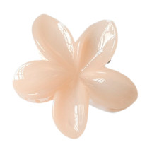 Краб лілія матова (Персиковий)