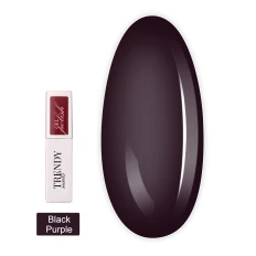 Гель-лак для ногтей TrendyNails (Black Purple HFTF, 8 мл (22GP-4TN))
