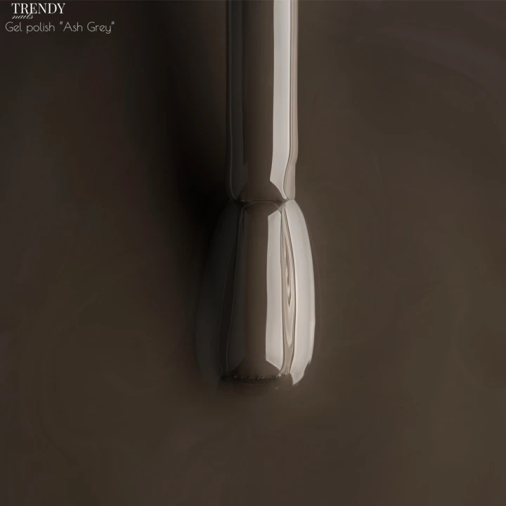 Гель-лак для нігтів TrendyNails ( Ash Grey HFTF, 8 мл (22GP-5TN ))