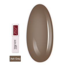 Гель-лак для ногтей TrendyNails (Ash Grey HFTF, 8 мл (22GP-5TN))