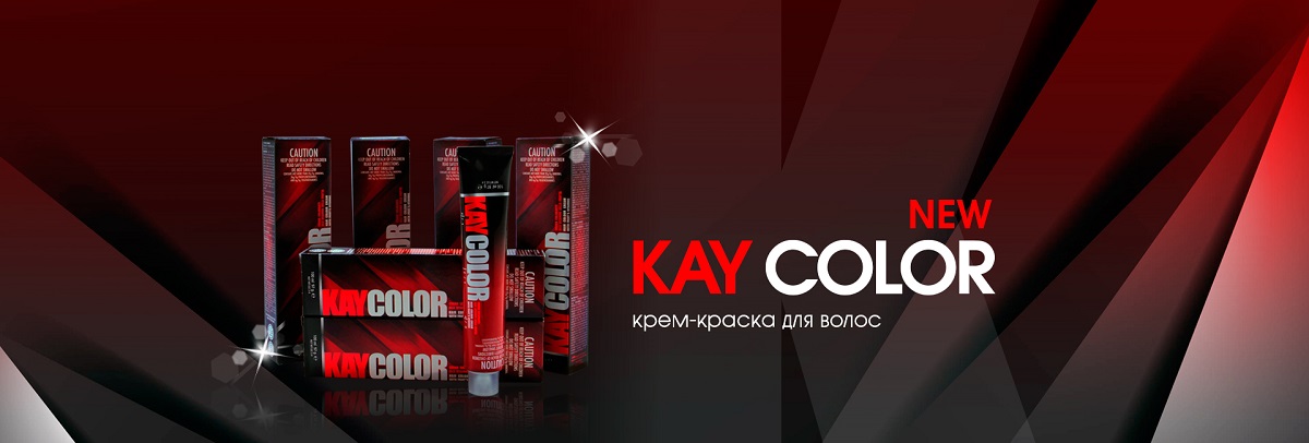 KayPro купить в украине